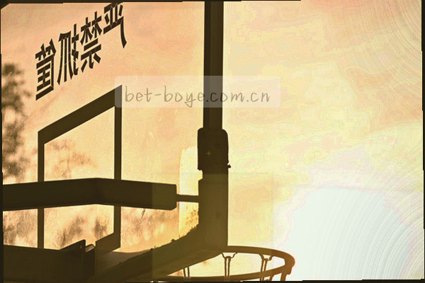 蓝色数据线条与青海山脉轮廓交叠